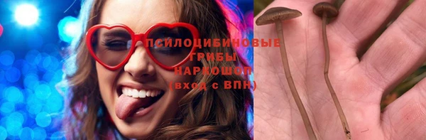 дживик Нефтегорск