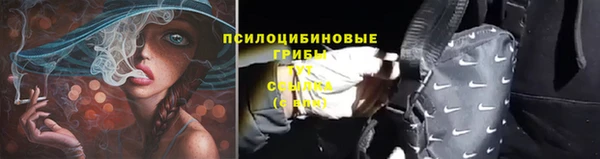 mdma Новозыбков
