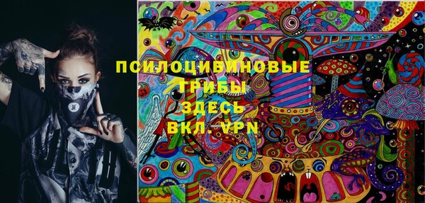 mdma Новозыбков