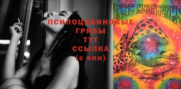 mdma Новозыбков