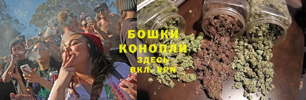 гашик Нефтекумск