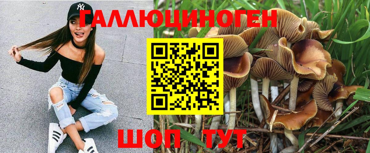 Псилоцибиновые грибы Magic Shrooms Майский
