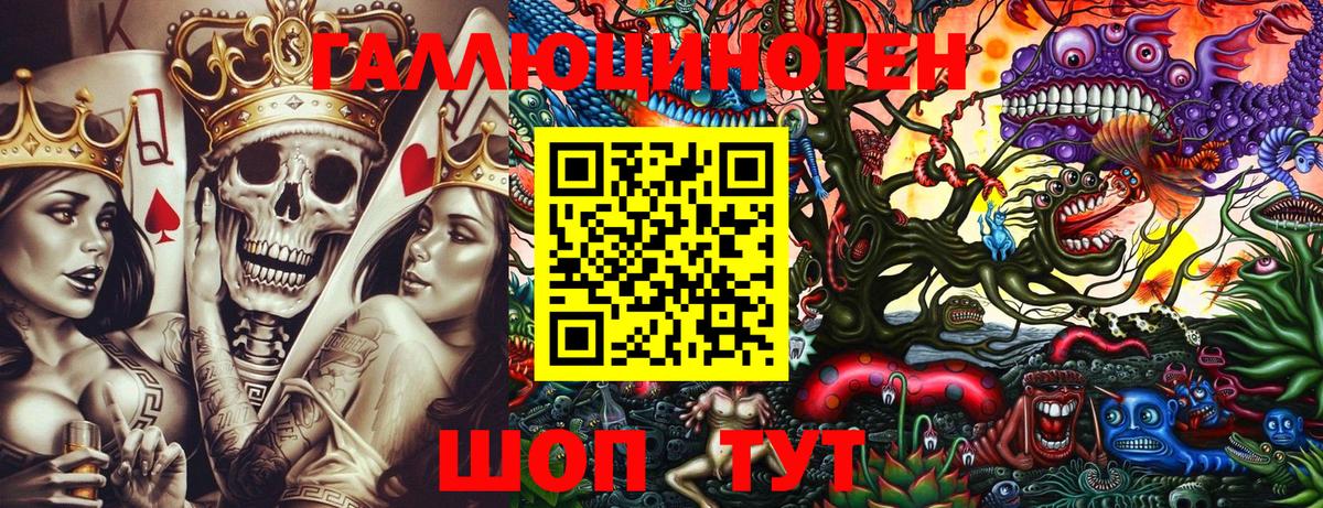 Галлюциногенные грибы Cubensis Майский