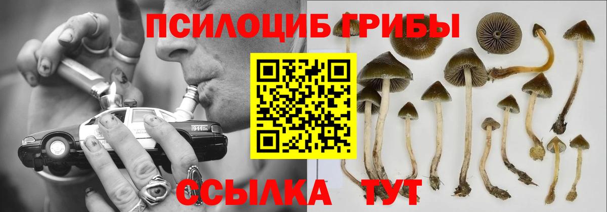 Псилоцибиновые грибы Magic Shrooms  Вход с VPN  как найти закладки  Майский 