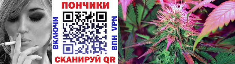 ссылка на мегу tor Майский МАРИХУАНА OG Kush